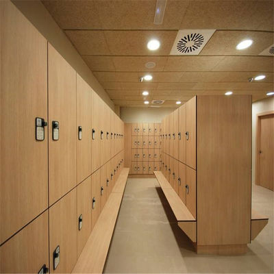 Loker Ruang Ganti HPL, Loker Gym Sekolah Pintu Ganda 12mm